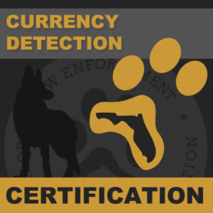 Currency Detection Certification